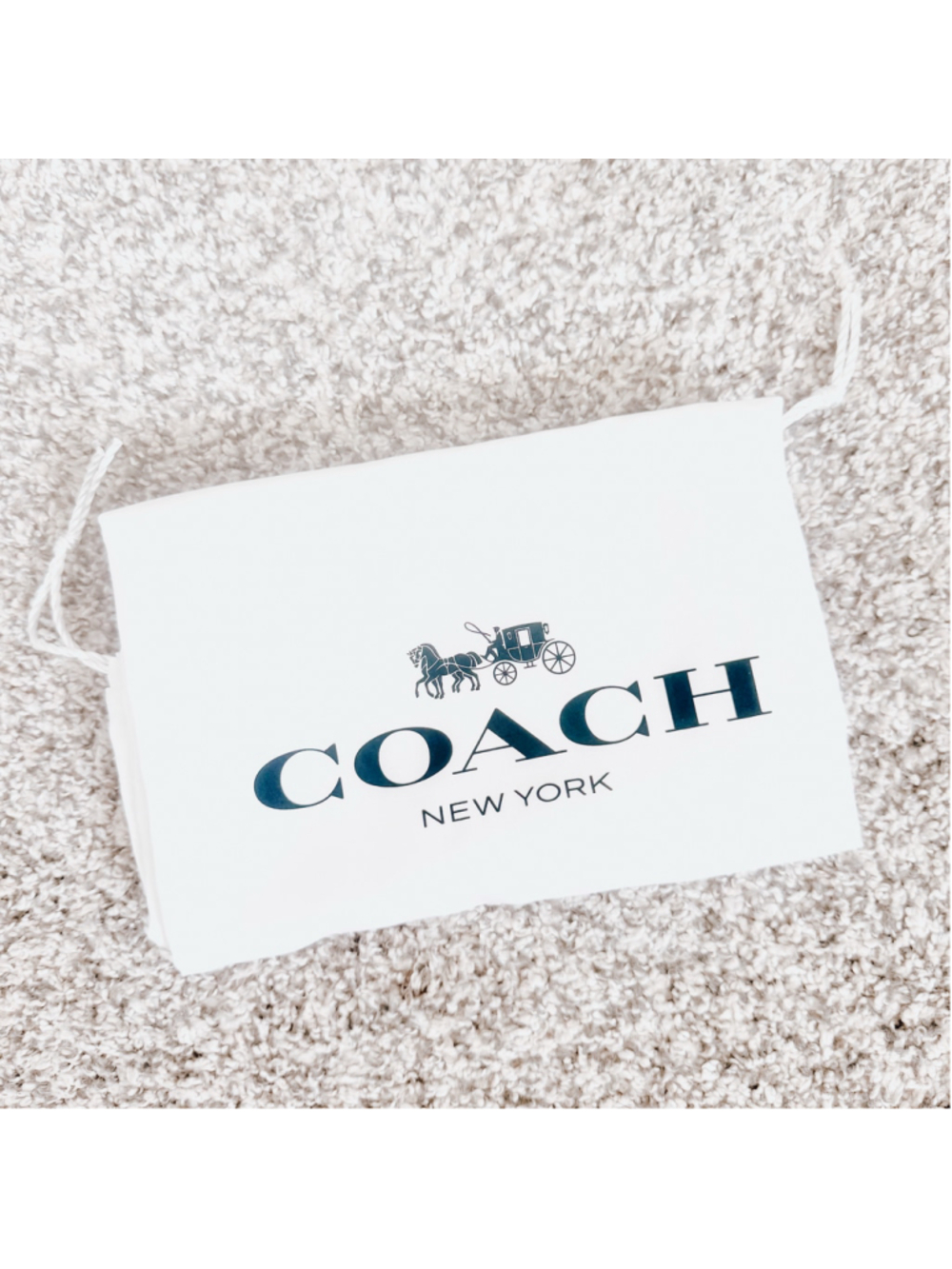 Coach Dust Bag One Size White and Black NWOT